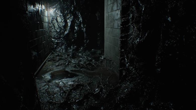 Mold covered room
