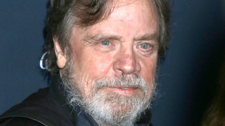 Mark Hamill small smile