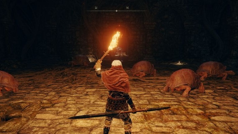 Elden Ring tarnished with torch