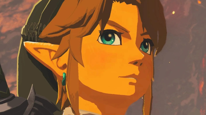 Link looking off close up