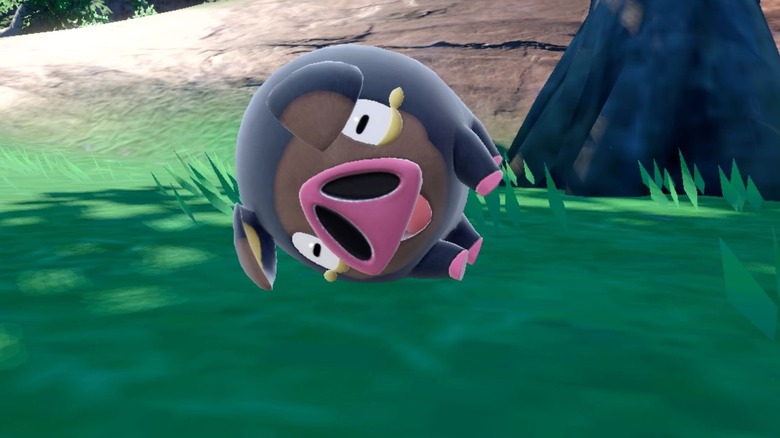 Lechonk lays down