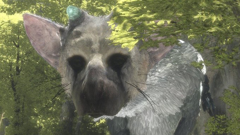 Last Guardian Trico in Forest