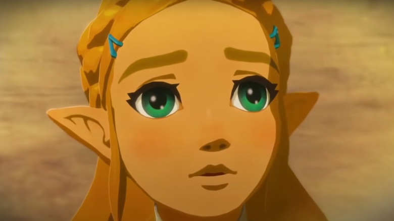 Zelda looks apprehensive
