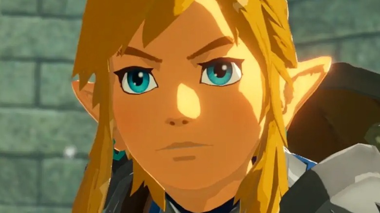 Link looking determined