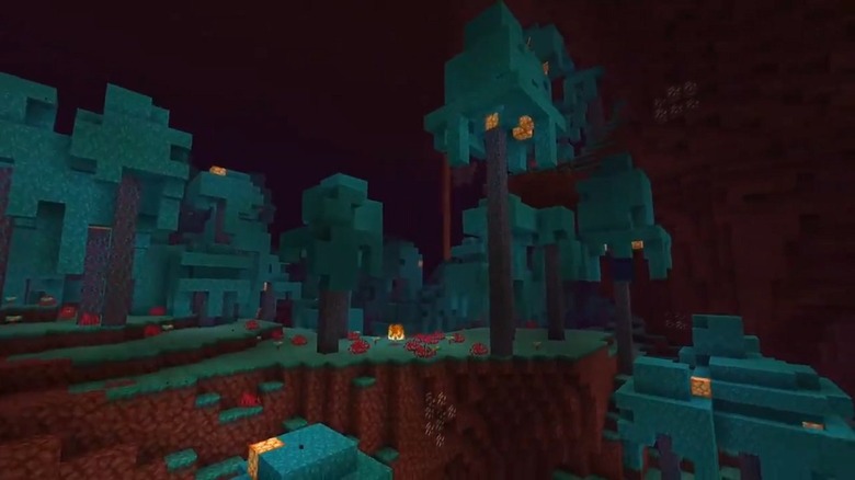 Minecraft: 10 Things You Need To Know Before Visiting The Nether