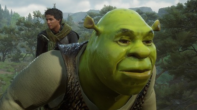 Shrek broom flight