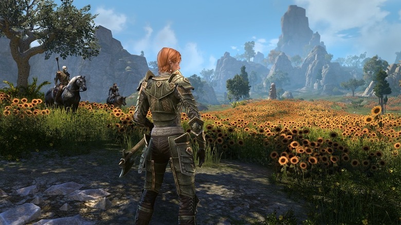 Elder Scrolls Online hero in dandelion field