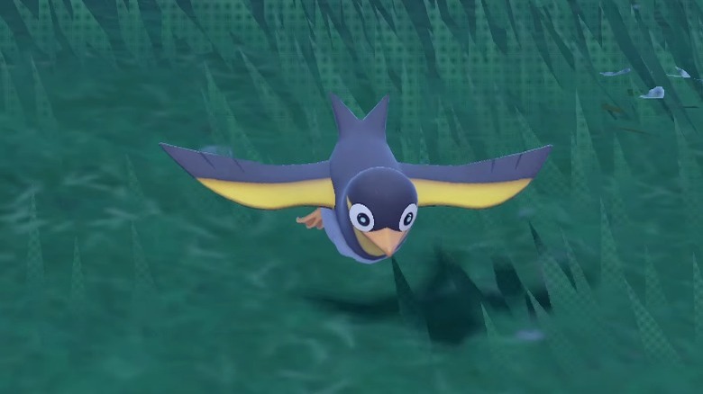 wattrel flying over grass 