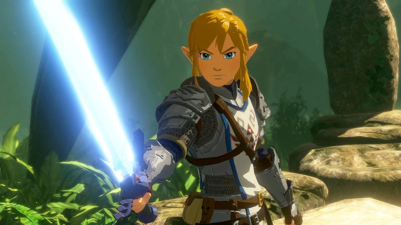Link holds a sword