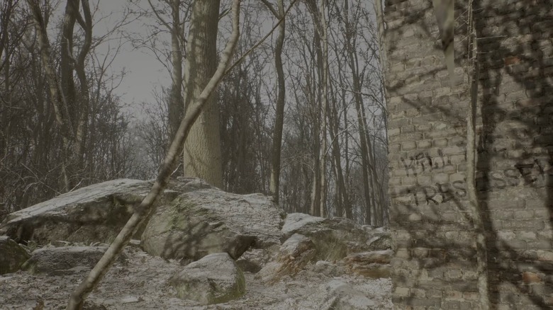 Abandoned Silent Trees in the Hills