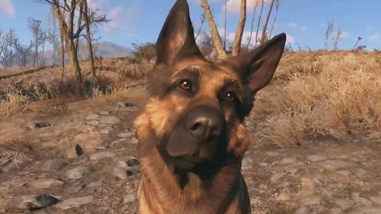 Fallout 4 good boy dogmeat фото 4