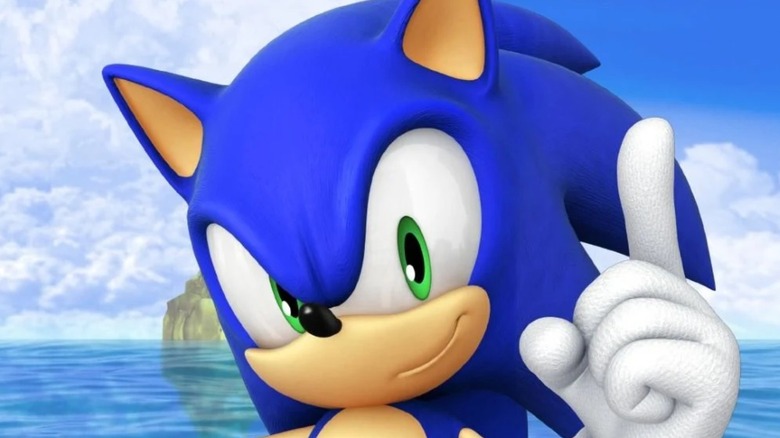 Sonic posing on beach