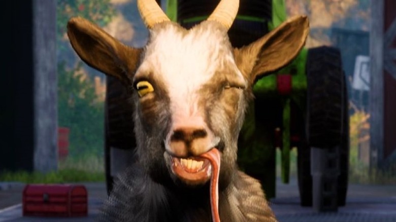 Goat winking with tongue hanging out