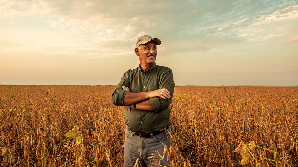 farmer overlooking crops