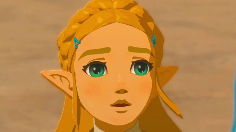 Zelda BOTW concerned