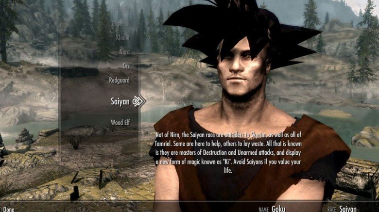 Skyrim mod