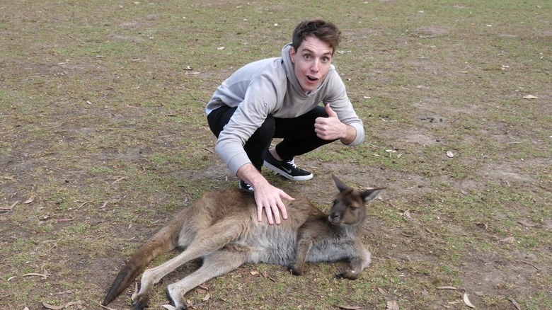 Lazarbeam