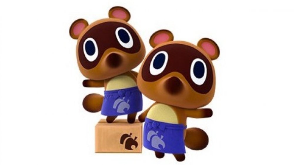 timmy tommy nook