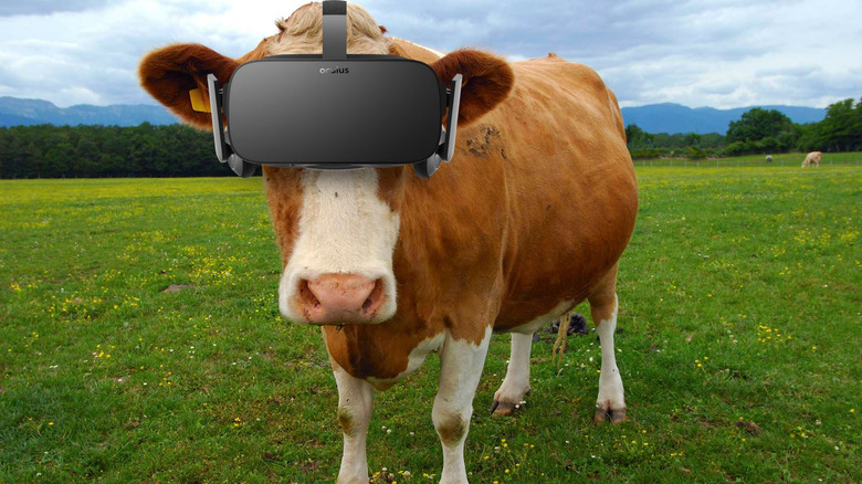 lørdag korruption dybde The VR Experiment That Involves Cows