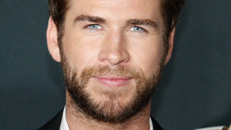 Liam Hemsworth at premiere