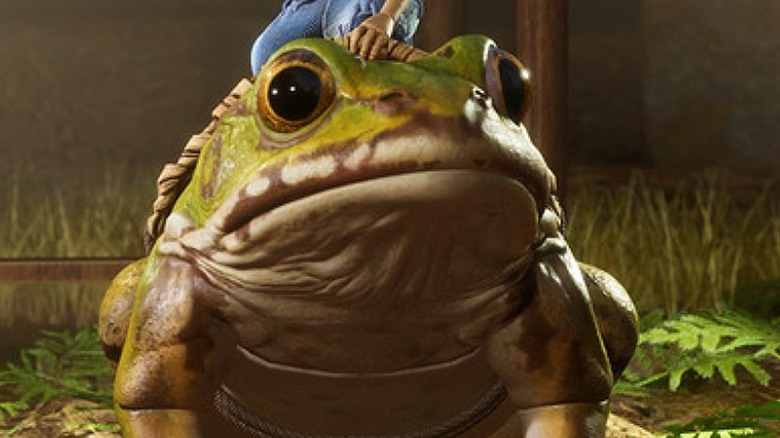 Frog mount
