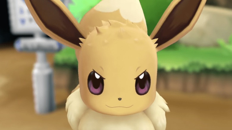 Eevee glaring