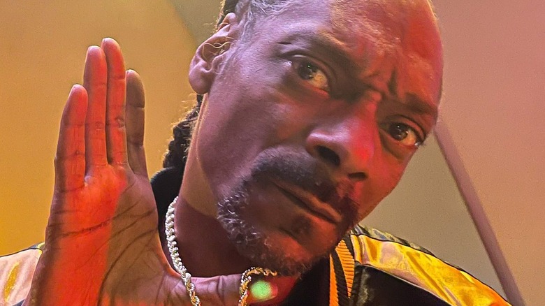 snoop dogg close up