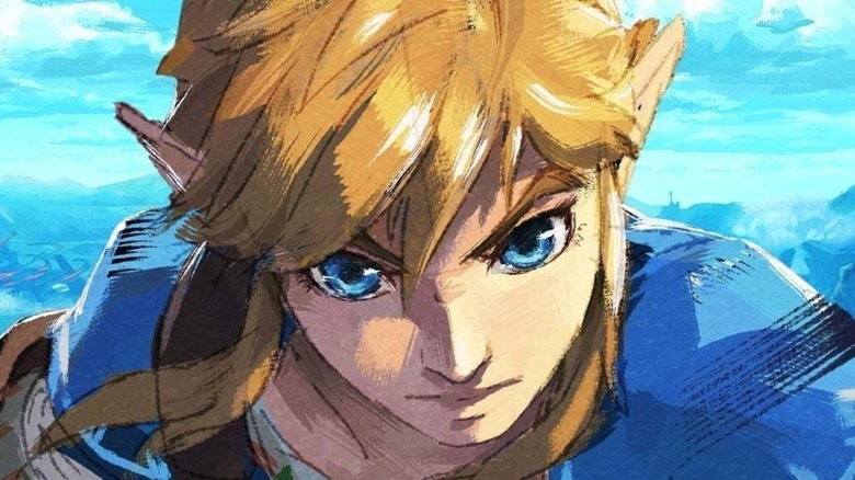 BOTW Link determined