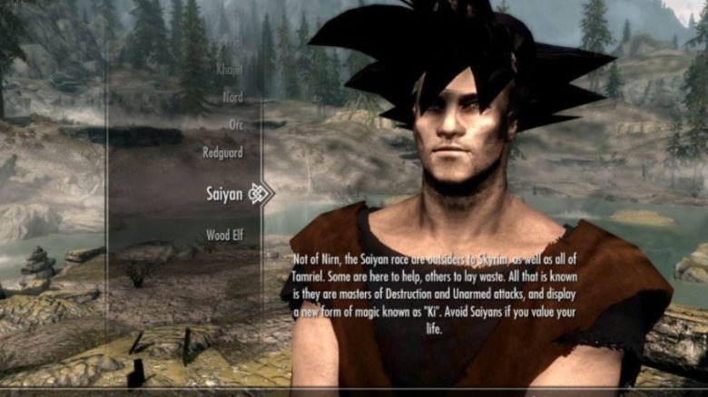 Skyrim mod