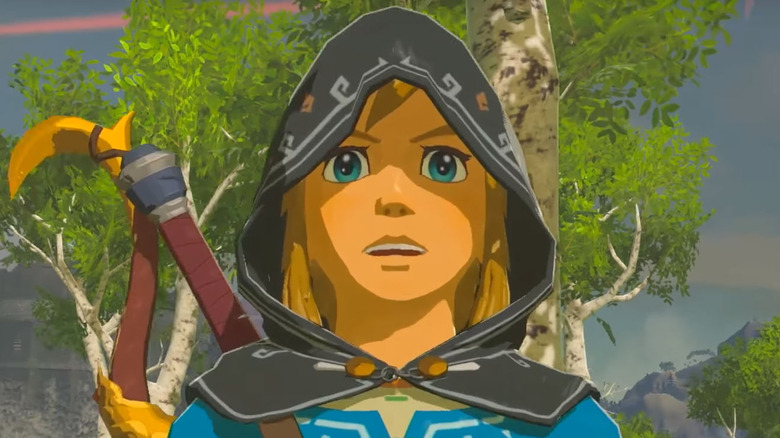 Link in Zelda Breath of the Wild