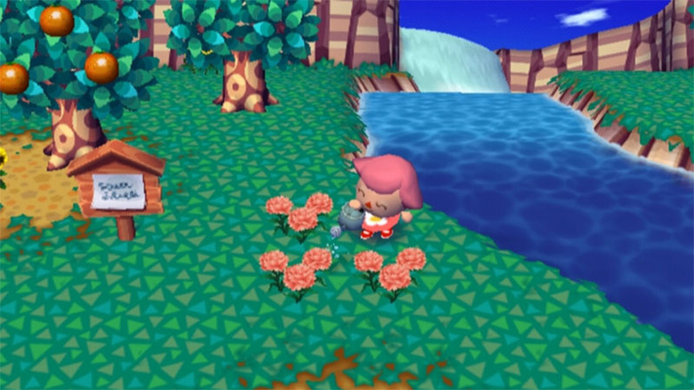 Animal Crossing