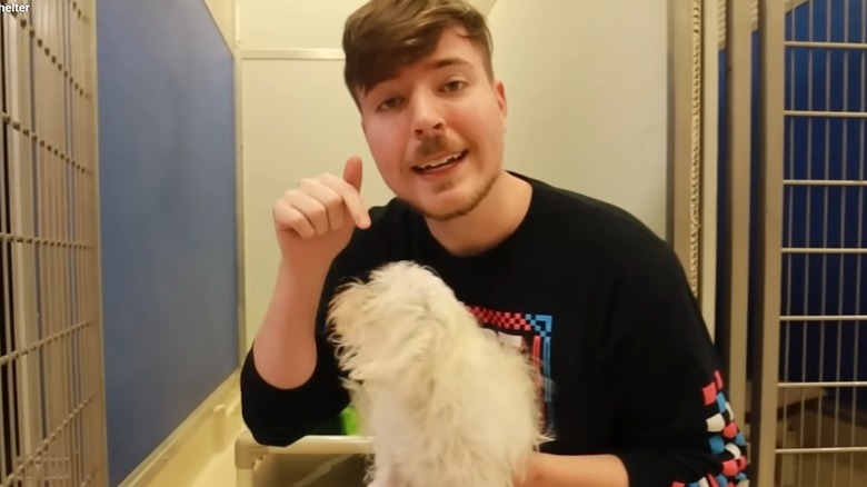MrBeast pointing at a dog