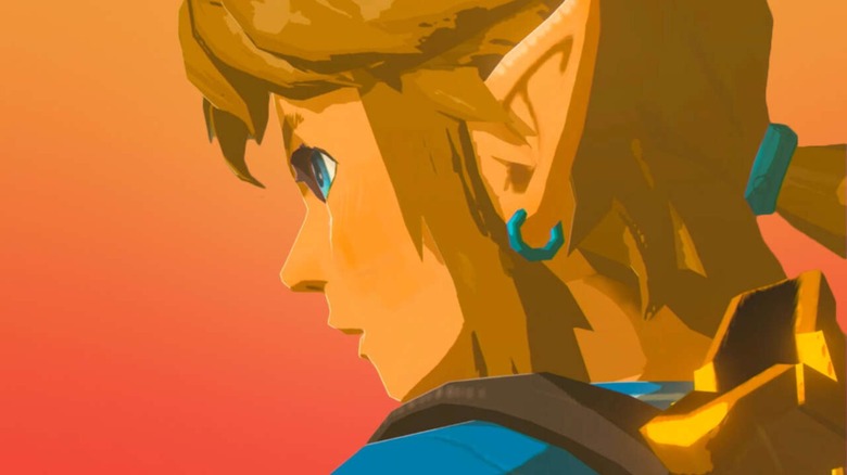 Link looking away