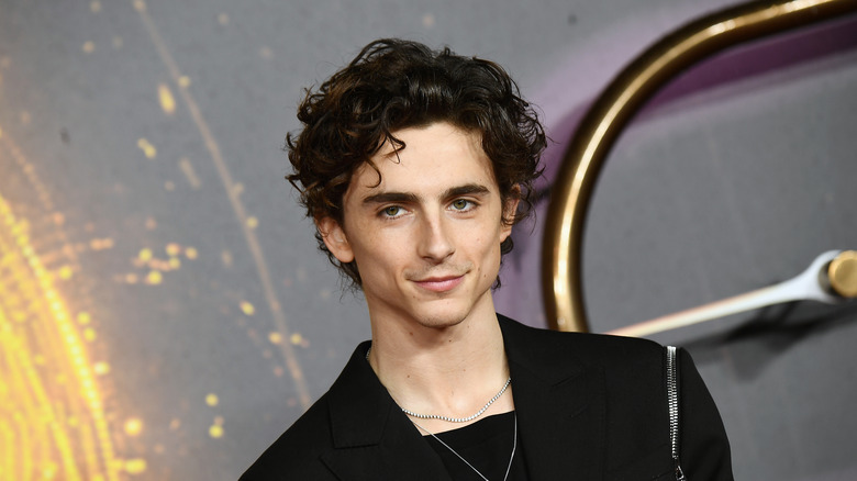 Timothee Chalamet posing at premiere
