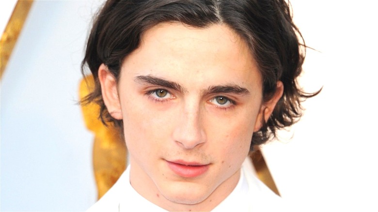 Timothée Chalamet at premiere