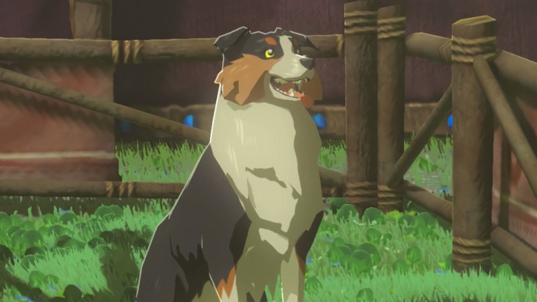 Breath of the Wild Dog smile