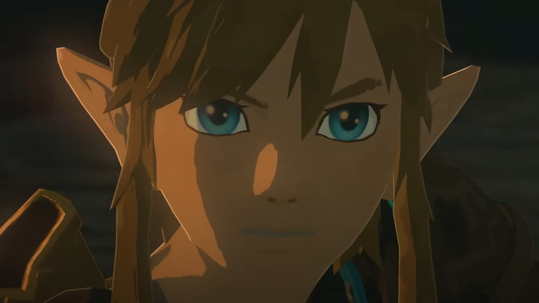 Link looking determined