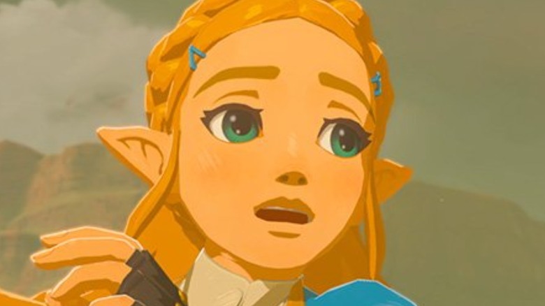 BOTW 2 Zelda Shocked