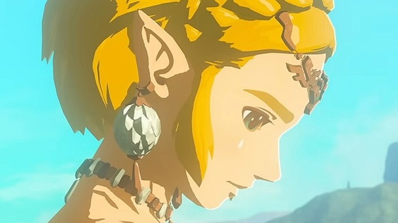 Zelda looks down sadly