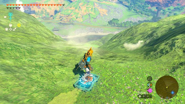 Link skating down hill