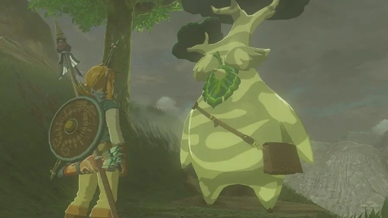 Link talking to Hestu