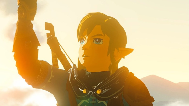 Link looks at hand